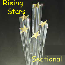 Rising Stars 499er Sectional